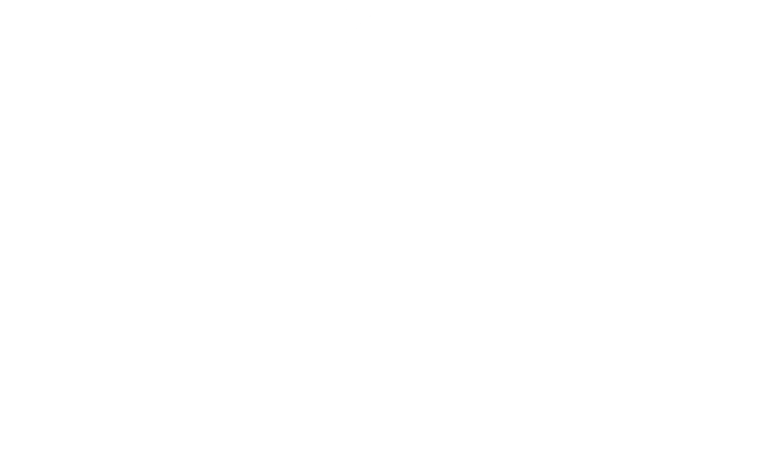 LL_NEW_Logo_CMYK_CARREFOUR