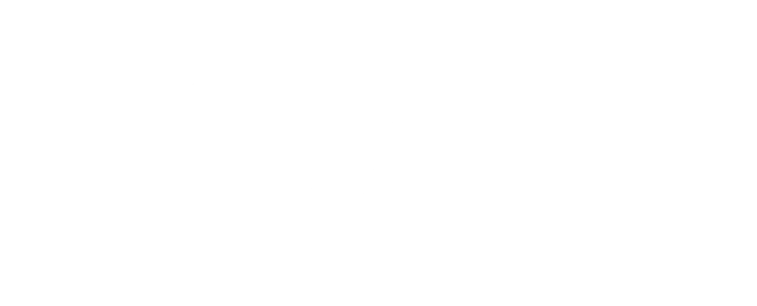 LL_NEW_Logo_CMYK_usaid (1)
